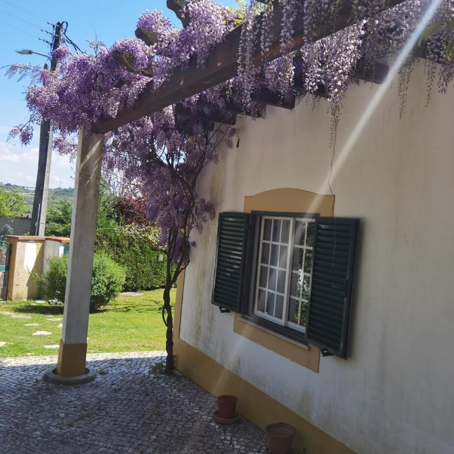 Quinta Do Vale Encantado "The Valley" - Santarem - Portugal Calhariz Exterior photo