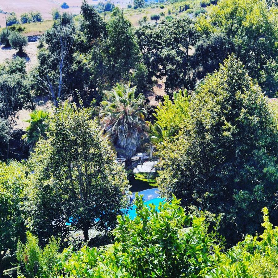 Quinta Do Vale Encantado "The Valley" - Santarem - Portugal Calhariz Exterior photo